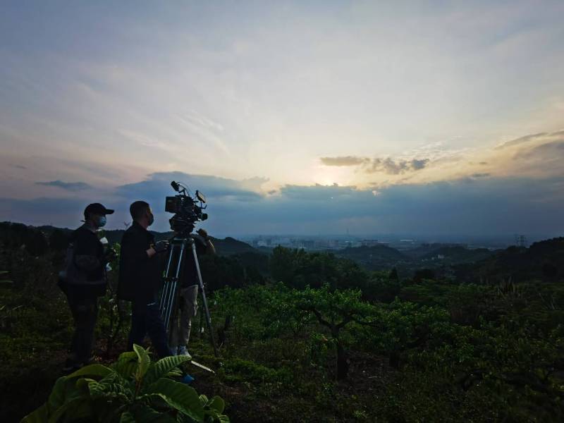 聚焦武山县产品宣传视频拍摄公司，用专业实力铸就品牌传播传奇