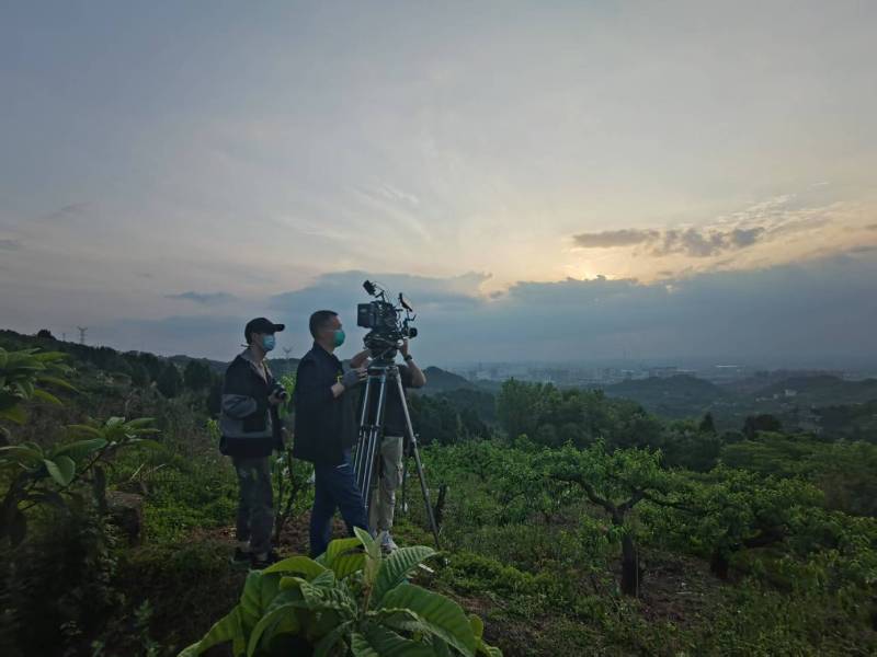 创意破圈！武山县电商产品宣传视频用故事化叙事引爆流量
