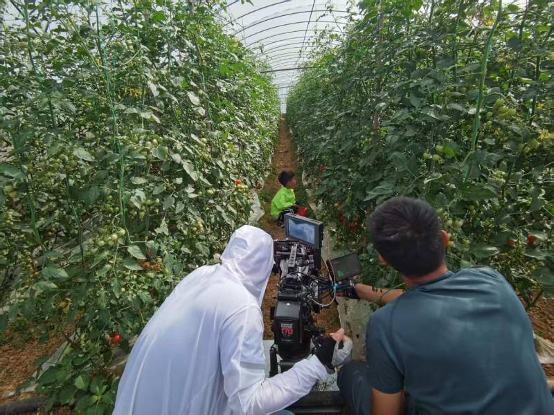 武山县产品宣传视频拍摄公司进阶指南，助力品牌抢占传播高地